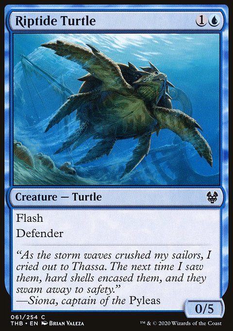 Riptide Turtle